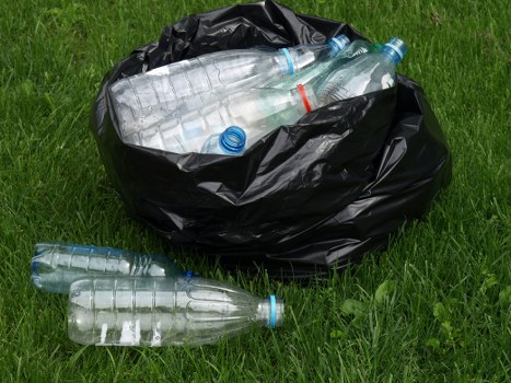 Eco-friendly garden clearance practices in Sidcup